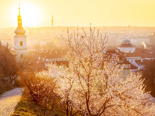 NTF Bohemian Muse – probuďte svou bohémskou duši na pražských věžích