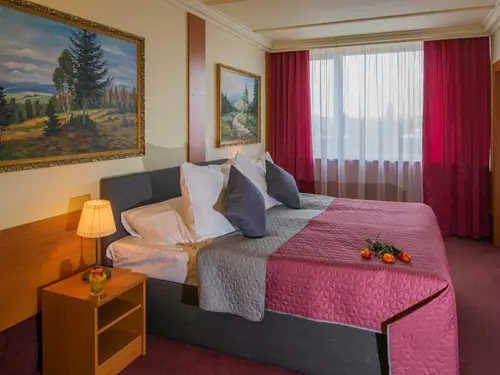 Top Hotel Praha