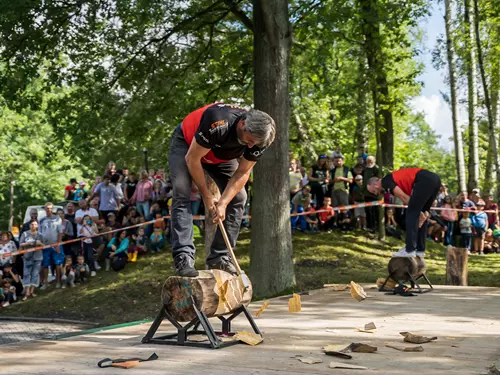 Festival dřeva 2023