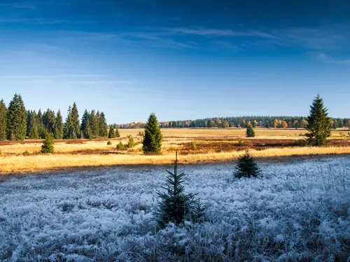 Výlety pro samotáře, Kudy z nudy, Šumava