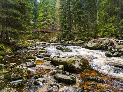 Šumava, Kudy z nudy, výlet do přírody