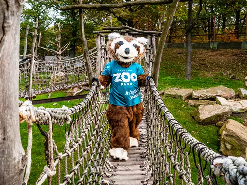 Zoopark Chomutov slaví 50 let – přijďte to s námi oslavit!