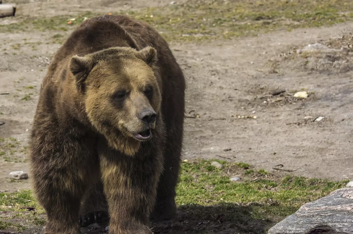 Zoo Decín ceká na jubilejního stotisícátého návštevníka!