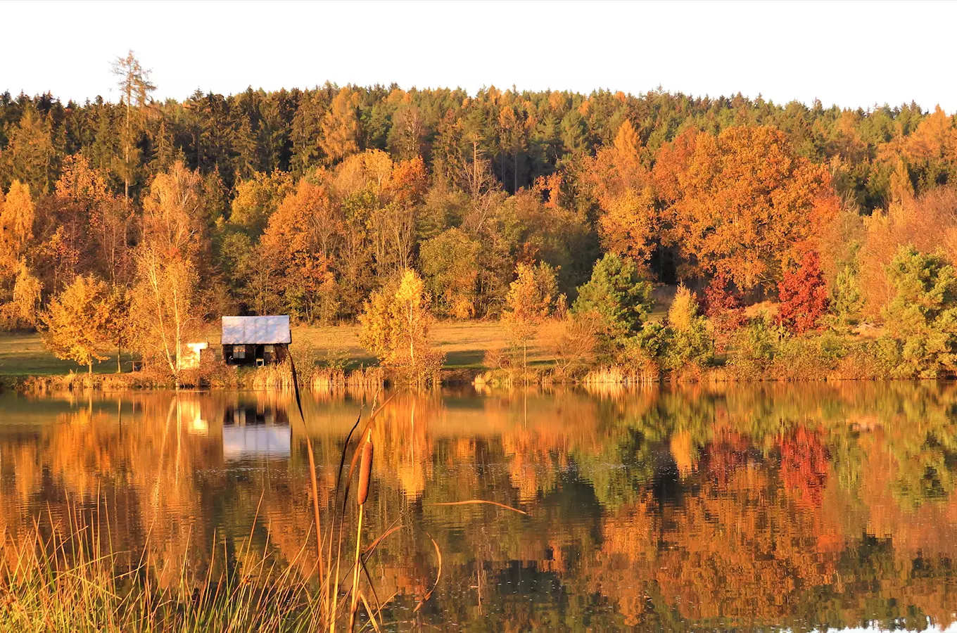 Česká Sibiř, Kudy z nudy