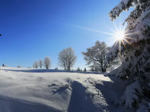 Šumava, Kudy z nudy, výlet do přírody