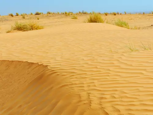 #světovéČesko a Sahara: brouzdejte se pískem českou a moravskou Saharou