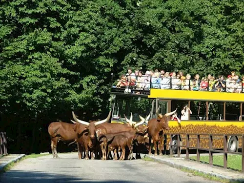 Zoo Dvůr Králové nad Labem slaví 70!