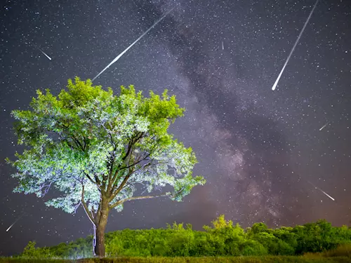 Noční oblohu začnou stejně jako každý rok rozsvěcet padající hvězdy  Perseidy – Kudy z nudy