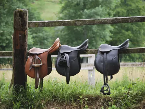 Svět ze hřbetu koně: tipy na ranče, jízdárny a koňské stezky z celého Česka
