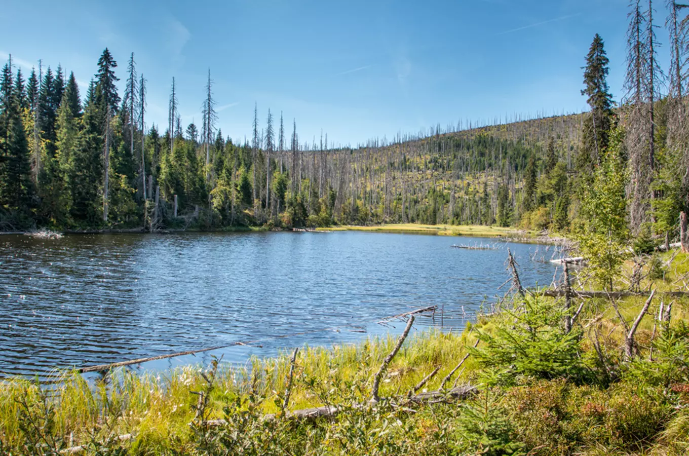 Jezero Laka – nejmenší a nejvýše položené šumavské jezero