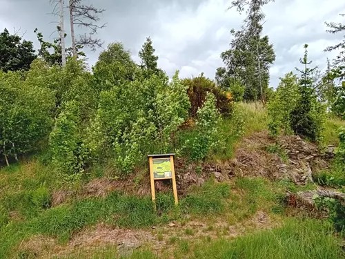 Hrad Luginsland – Burkvíz