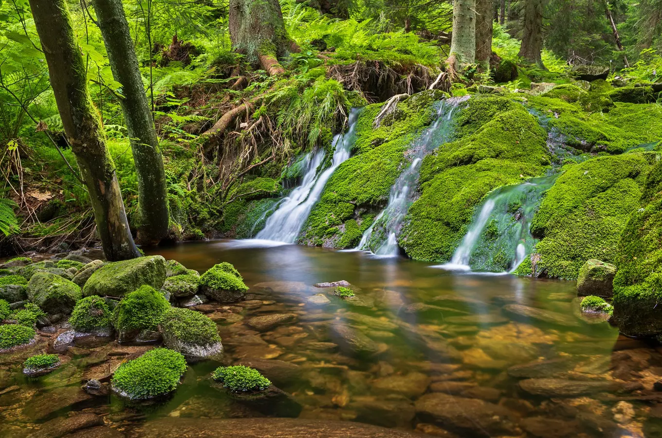 Zdroj foto: mapy.cz, autor Jiří Beran