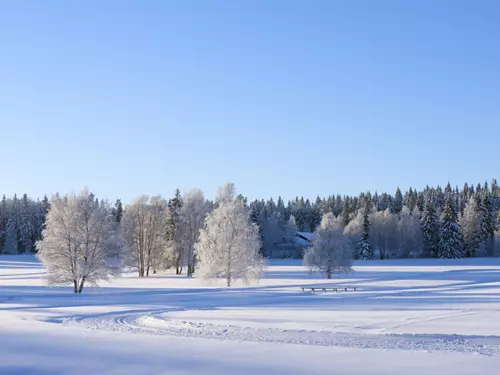 Karavanem od jara do zimy: Zimní Šluknovsko pěšky i na běžkách