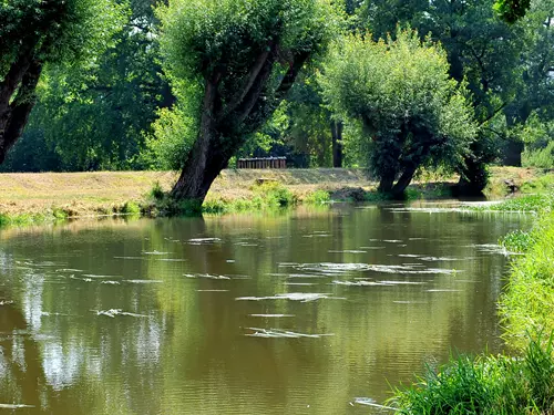 Řeka Úhlava