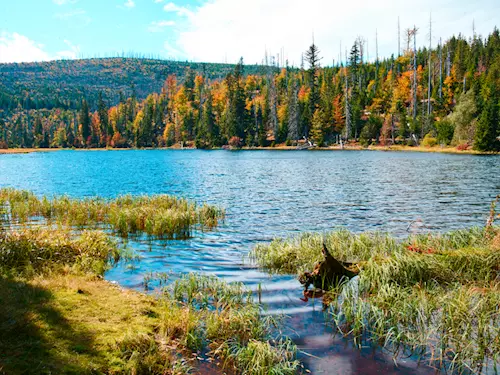 Jezero Laka – nejmenší a nejvýše položené šumavské jezero