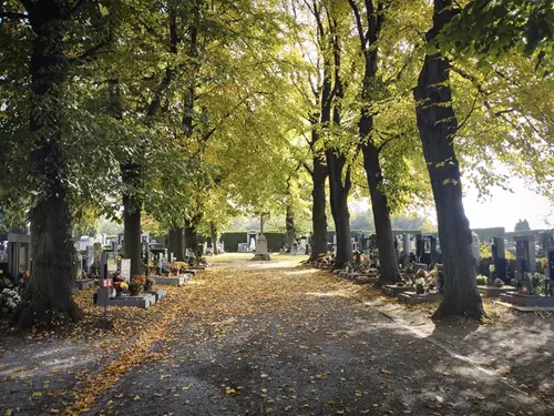 Říčanští zesnulí – vycházka na městský hřbitov