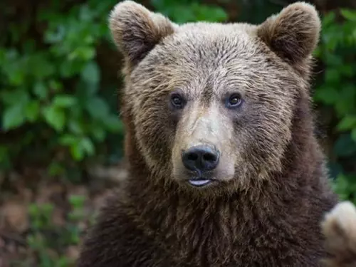 Zoo a zooparky, Kudy z nudy, Středočeský kraj