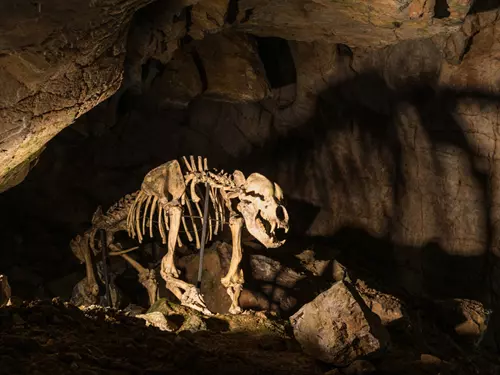 Věda a historie není nuda: kde si prohlédnete nejstarší a nejvzácnější archeologické nálezy