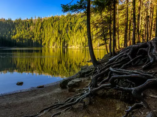 Čertovo jezero – jediné šumavské jezero náležící k povodí Dunaje