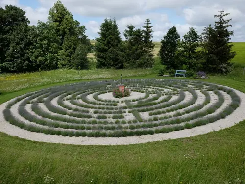 Levandulový labyrint Lela v Kyžlířově