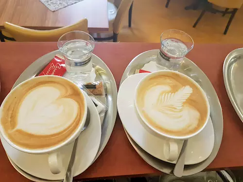 Mňau café