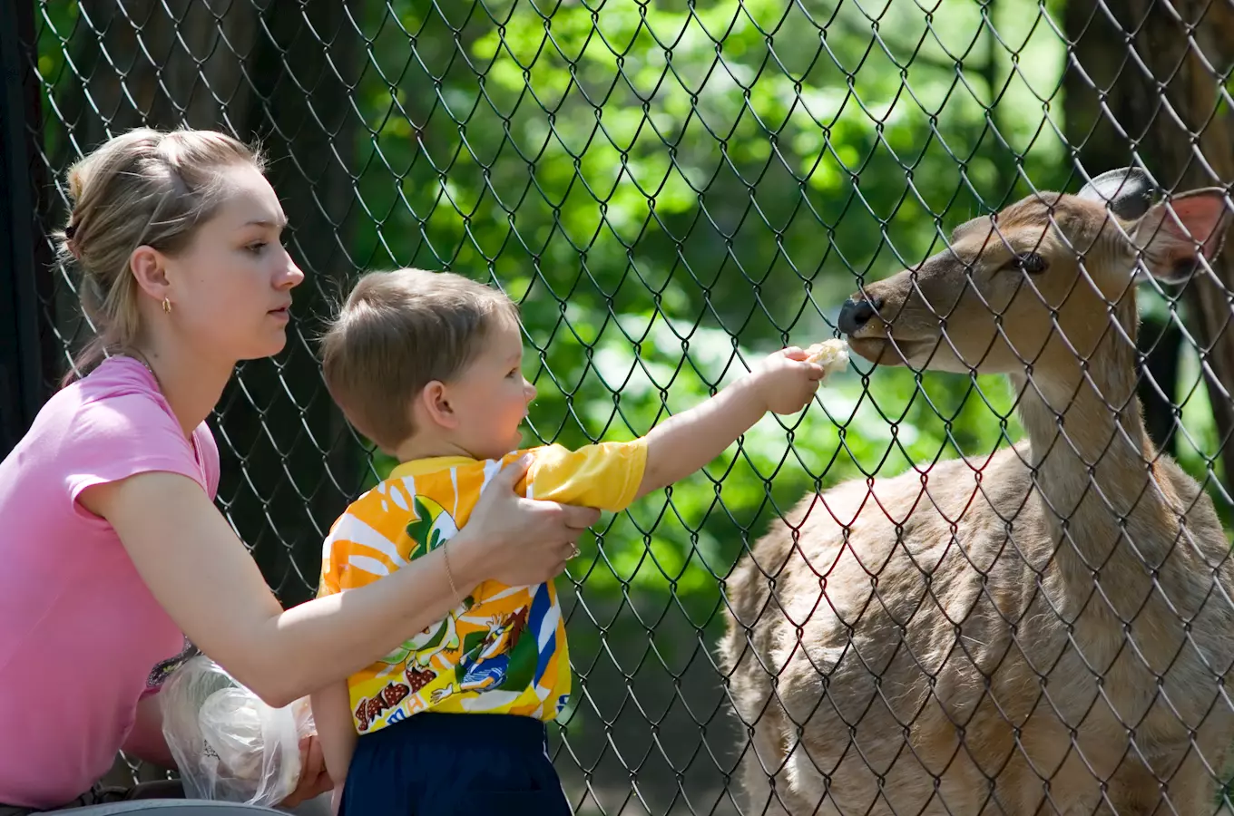 Zoo Olomouc slaví 60 let otevření veřejnosti