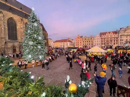 Adventní čas v Plzni zahájí rozsvícení vánočního stromu