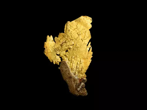 Křepické zlato – nejslavnější jihočeské zlato