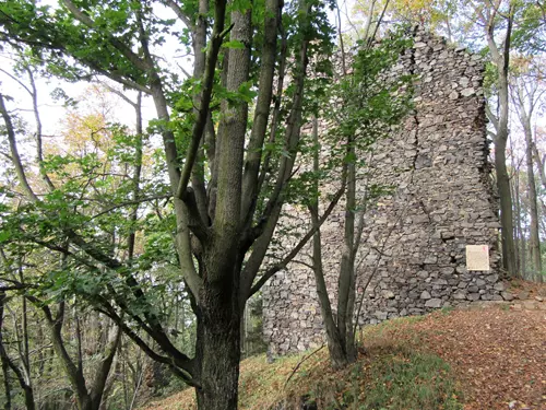 Hrad Netřeb na Domažlicku