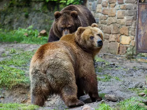 Léto v Zoo Děčín: zábava, zážitky a zvířata po celé prázdniny