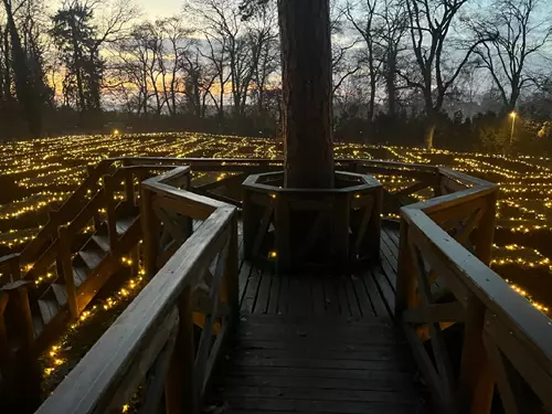 Vánočně nasvícený zámecký park u zámku Loučeň