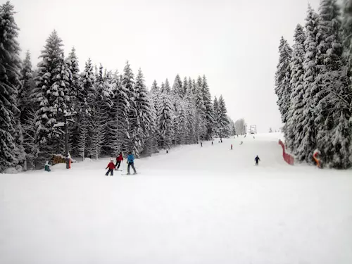 SkiPark Grun Závodní sjezdovka