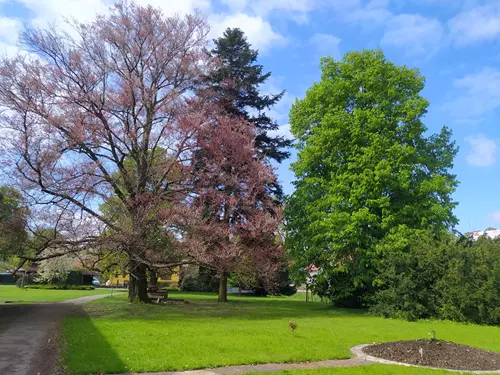 Park před zámkem