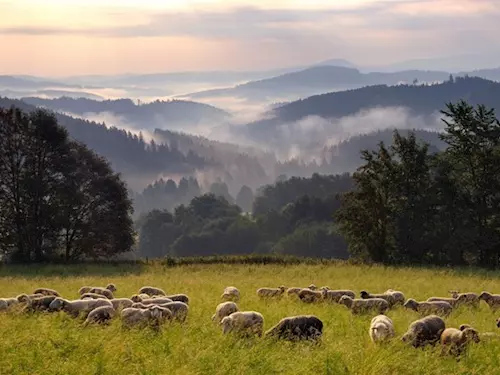 Šumava