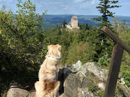 Zřícenina Pustý hrádek u Kašperka