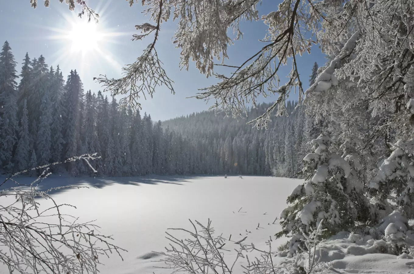 Jezero Laka – nejmenší a nejvýše položené šumavské jezero