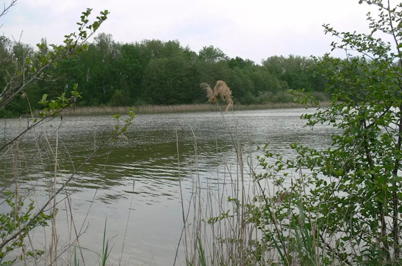 Bohdanečský rybník a rybník Matka