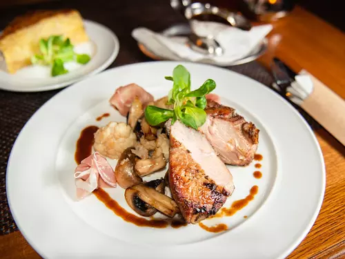 Restaurace a gastronomie