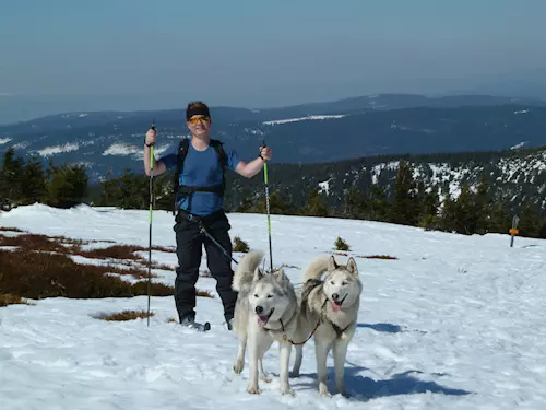 Psy husky potešíte dobrým piškotem