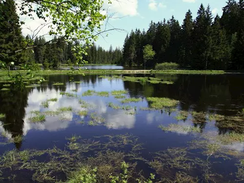 Dům přírody na Kladské – informační brána do Slavkovského lesa