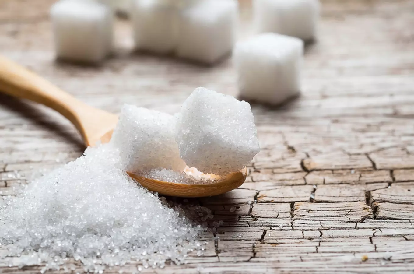 Tradice: putování po sladkých stopách českého cukru do cukrovaru Dobrovice