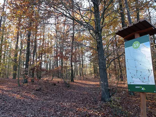 Lesnický park Podkomorské lesy