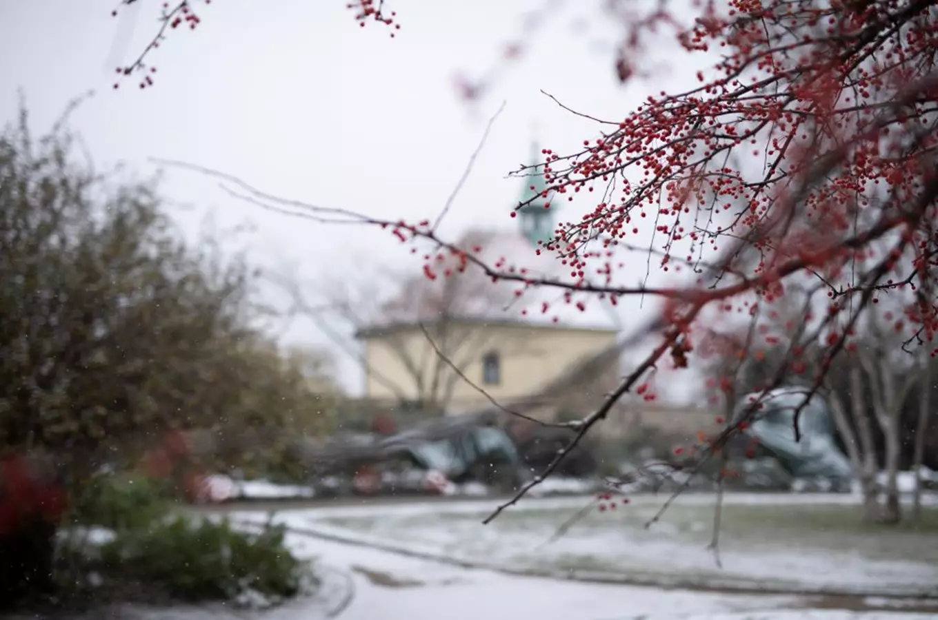 Botanická zahrada v pražské Troji má i v zimě co nabídnout