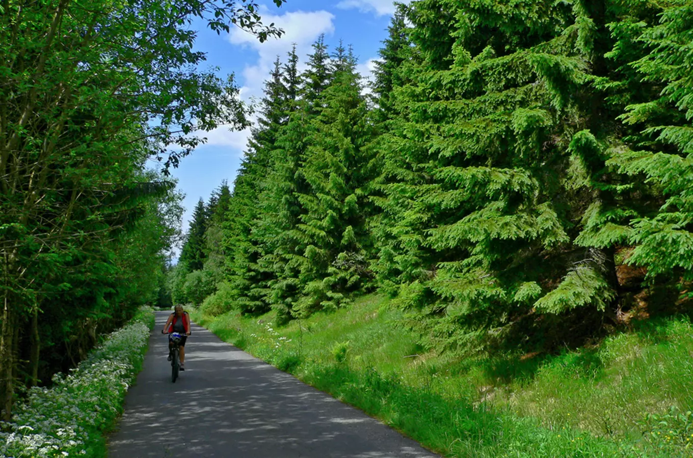 Letní sezona v Krkonoších: 10 tipů pro jízdu na kole i koloběžce