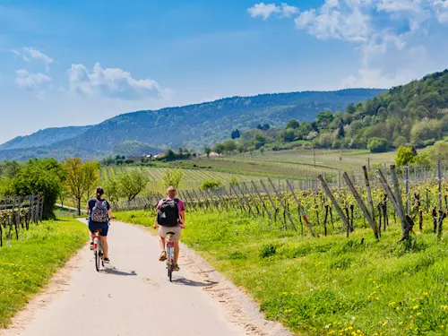 Sedlec u Mikulova nabízí letní cykloprojižďku po Moravských vinařských stezkách