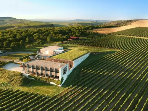 Vína z vinařství Gotberg – produkty ekologického vinohradnictví
