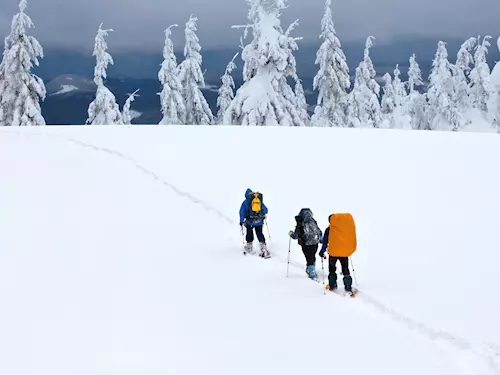 Objevte šumavskou přírodu na sněžnicích