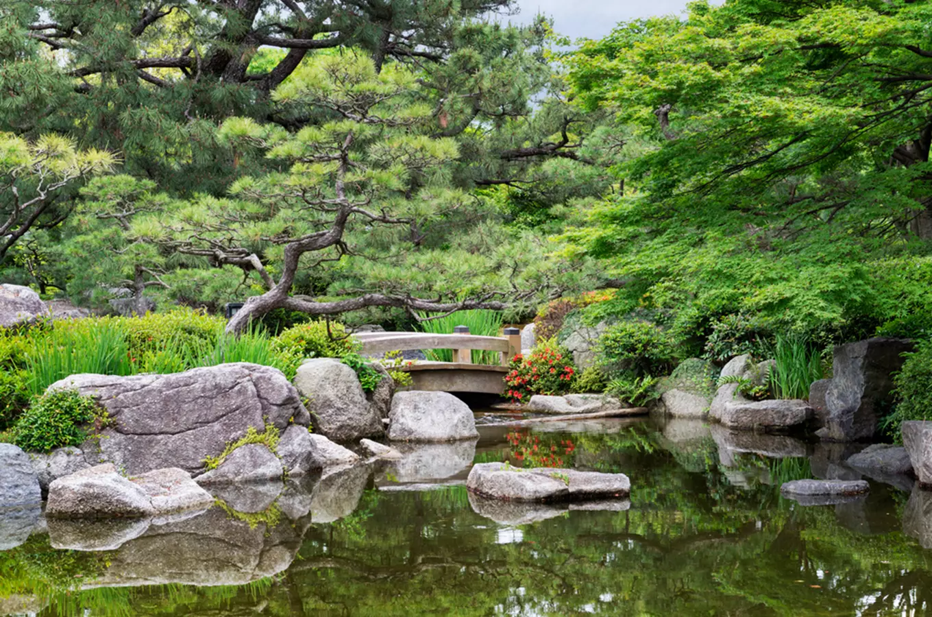 Víkend otevřených zahrad – Japonské dny v Táboře