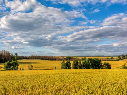 Českomoravská vrchovina, Kudy z nudy, Vysočina