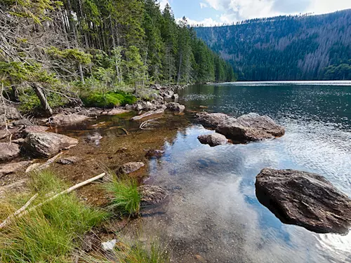 Černé jezero na Šumavě – největší přírodní jezero České republiky